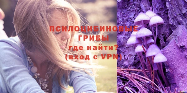 jwh Горняк